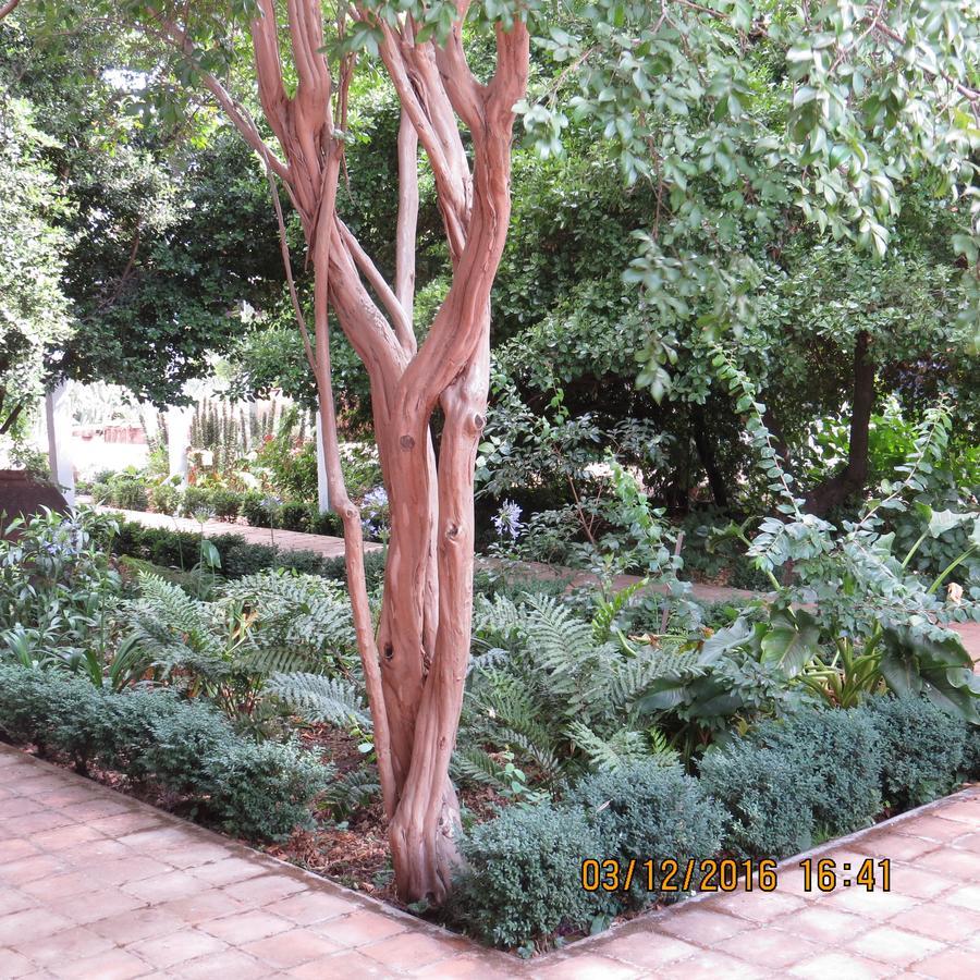 Hotel Boutique Quinta Maria ซานตาครูซ ภายนอก รูปภาพ