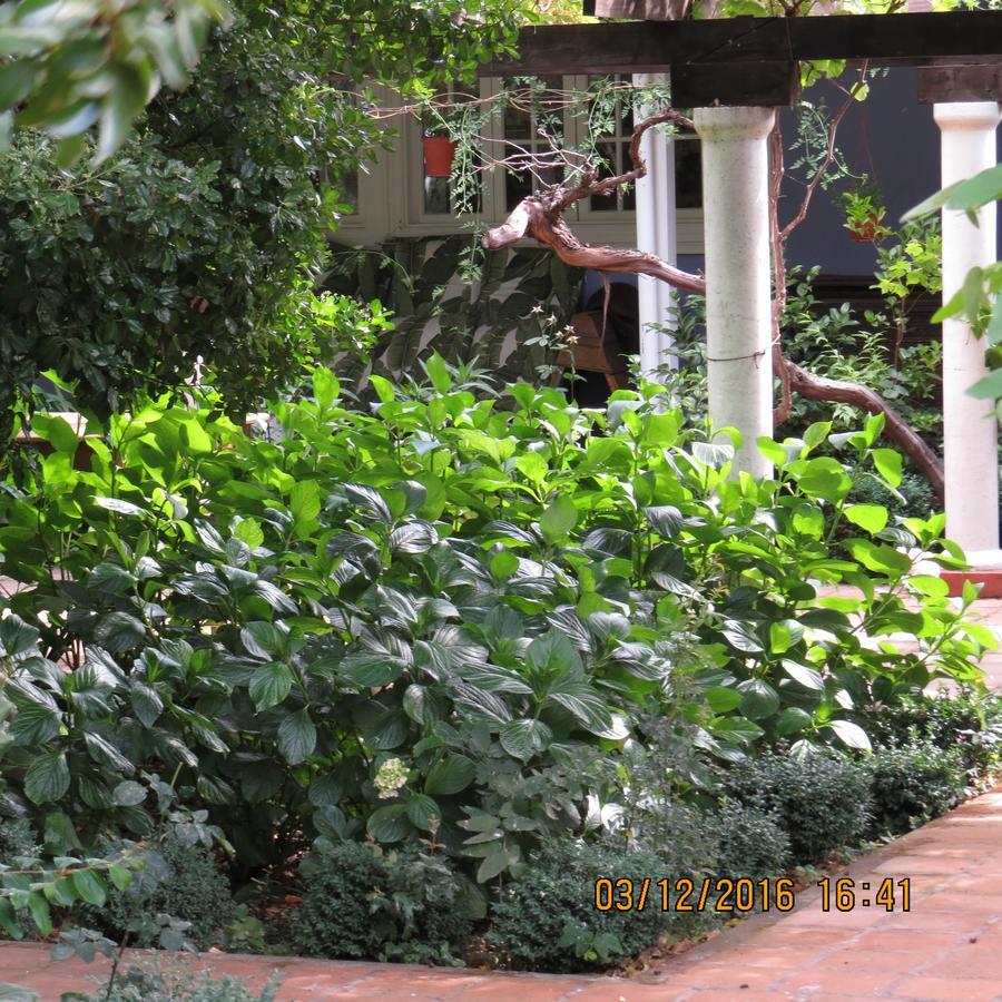 Hotel Boutique Quinta Maria ซานตาครูซ ภายนอก รูปภาพ