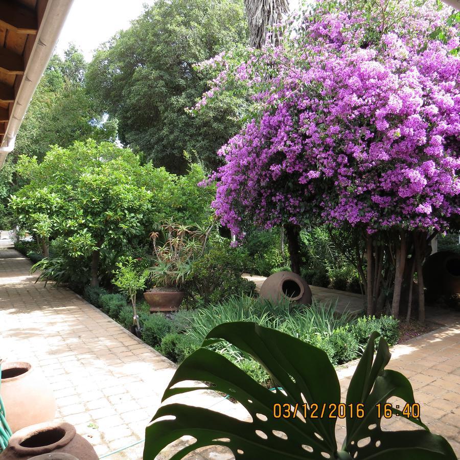 Hotel Boutique Quinta Maria ซานตาครูซ ภายนอก รูปภาพ