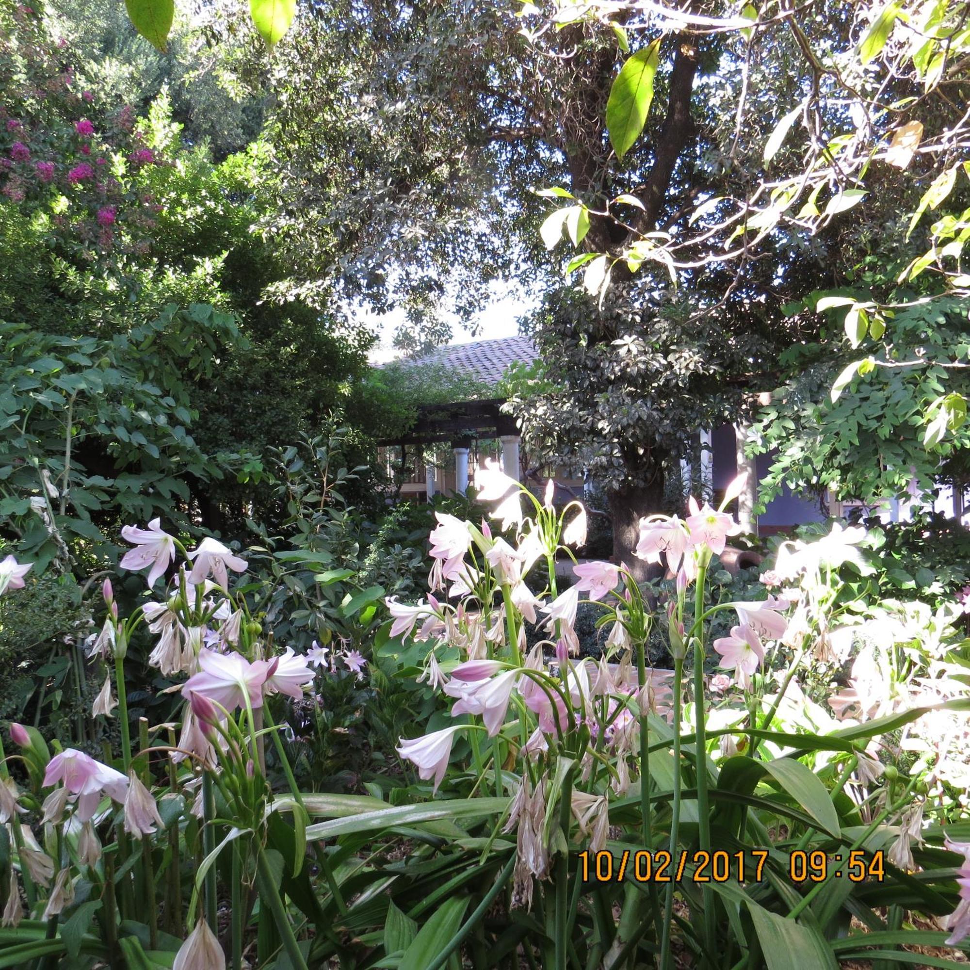 Hotel Boutique Quinta Maria ซานตาครูซ ภายนอก รูปภาพ