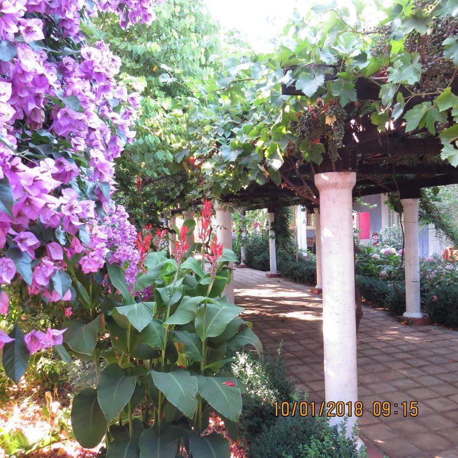 Hotel Boutique Quinta Maria ซานตาครูซ ภายนอก รูปภาพ