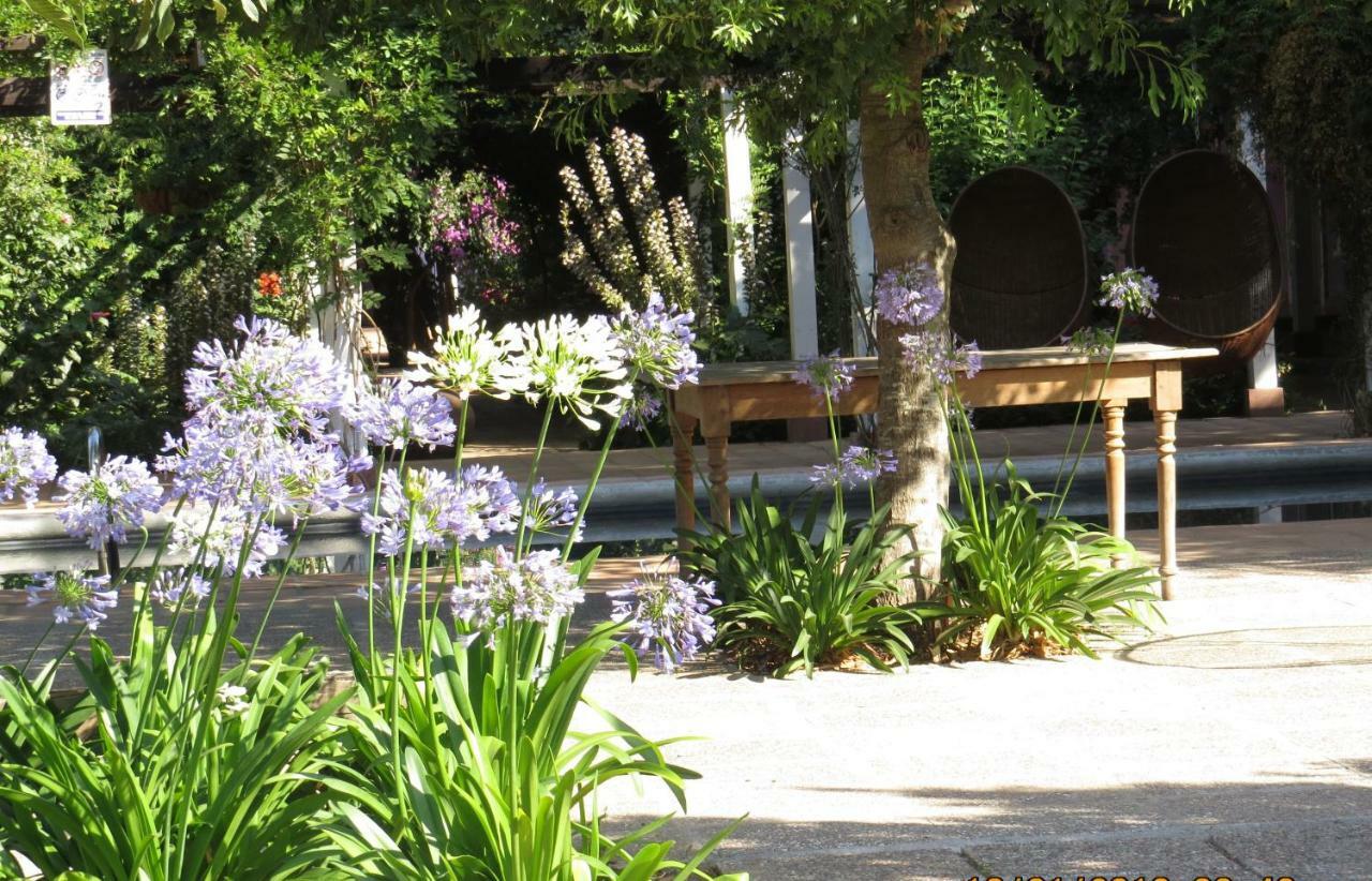 Hotel Boutique Quinta Maria ซานตาครูซ ภายนอก รูปภาพ