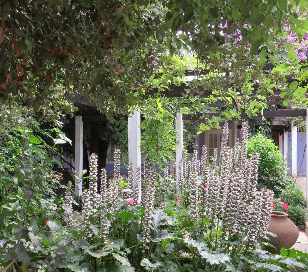 Hotel Boutique Quinta Maria ซานตาครูซ ภายนอก รูปภาพ